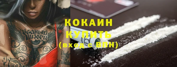 хмурый Покачи